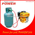 Hot Sale Home Use LPG Small Engine